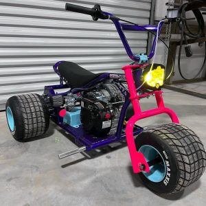 The Purple Pink Platinum Mini Trike – Royal Rebel Edition