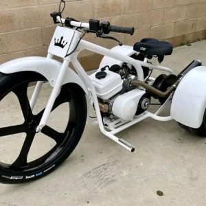 White roysl trike